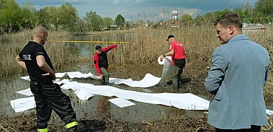 Czy sprawca zanieczyszczenia Gopła jest już znany?-41876
