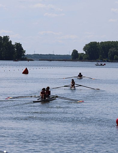 Kruszwica: Przed nami emocjonujące półfinały i finały wioślarskiej imprezy [FOTO]-42507