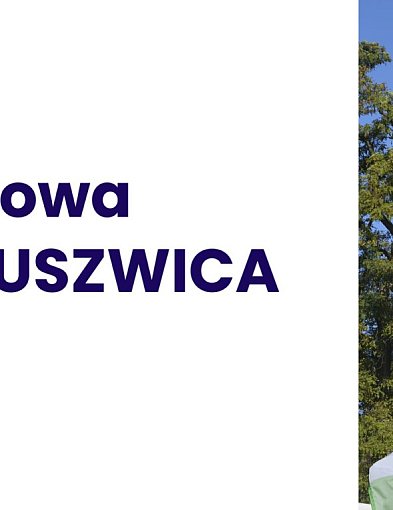 Apelują do mieszkańców i właścicieli prywatnych dróg w Gminie Kruszwica-43239