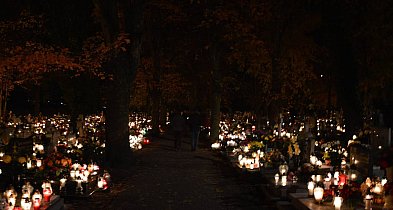Stowarzyszenie „Korzenie” zaprasza do organizacji kwest 1 listopada-43558