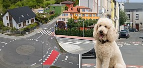 „W lusterku wszystko widać” . O kruszwickim braku kultu