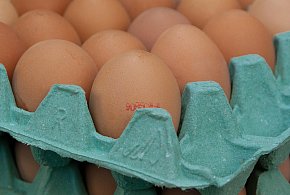 Salmonella na jajach znanej marki. Nie jedz, jeśli masz je w lodówce!-43632