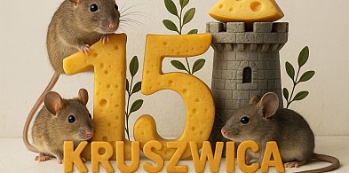 15 Kruszwica 15-43651