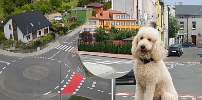 „W lusterku wszystko widać” . O kruszwickim braku kultury-43654