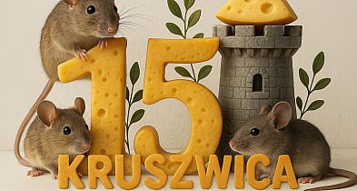 15 Kruszwica 15-43651