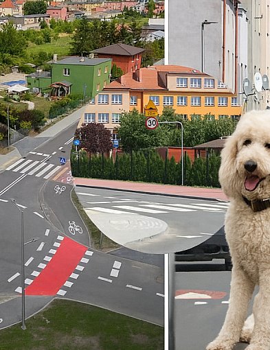 „W lusterku wszystko widać” . O kruszwickim braku kultury-43654
