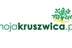 Portal MojaKruszwica.pl odwiedziło w czerwcu 90 tysięcy osób przy 1,2 mln odsłon-43891