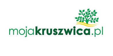 Portal MojaKruszwica.pl odwiedziło w czerwcu 90 tysięcy osób przy 1,2 mln odsłon-43891