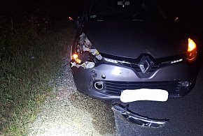Rzepowo: Zdarzenie drogowe w Rzepowie – samochód uderzył w sarnę-43956
