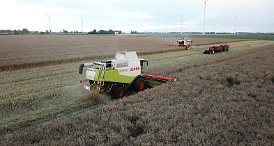 Żniwa na kruszwickich (i nie tylko) gospodarstwach rolnych-44447