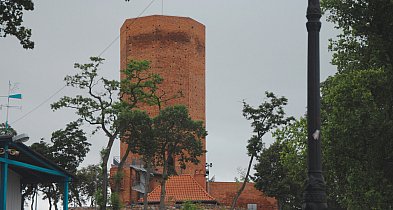 Ekologiczne wyzwania i działania. Raport środowiskowy Gminy Kruszwica za 2024 rok-44630