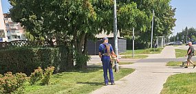 Niebezpieczne koszenie trawy przy zaparkowanych samocho