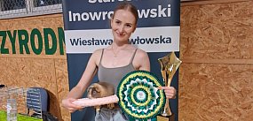 Kobylniki: Ponad 100 rasowych świnek morskich pod Krusz