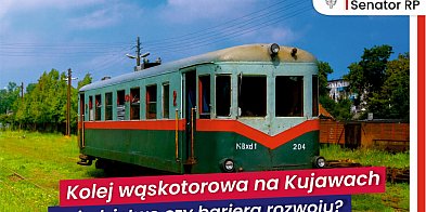 Kolej wąskotorowa na Kujawach - dziedzictwo czy bariera-45201