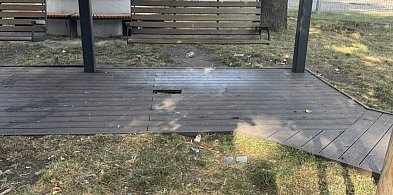O braku porządku w Kruszwicy: nie wszystko jest winą gminy-45279
