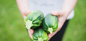 Integrowana produkcja warzyw. W piątek szkolenie w Krus