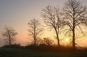 Piękno Kruszwicy jesienią. Taki obrazy zatrzymuje w obiektywie Kadr Naturalny-5995