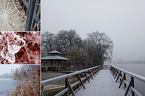 Piękno zimy nad Gopłem. Zobaczcie zdjęcia Agnieszki Bartczak!-6008