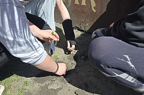 Nadgoplański Park Tysiąclecia zakończył cykl ekologicznych zajęć edukacyjnych 2025-6107