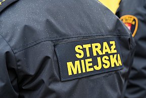 Zapuka strażnik, zapłacisz karę. Ruszyły kontrole w całej Polsce-46517