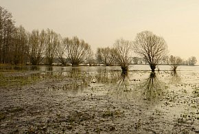 Hej Kruszwica! Gdy październik mroźny, to nie będzie styczeń groźny-46871