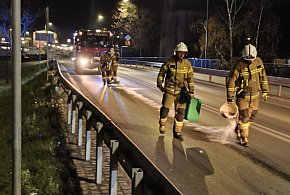 Strażacy z interwencją na Kościuszki. Chodzi o plamę oleju-47345
