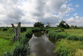Co dalej z nowym parkiem narodowym? Minister klimatu zdradza plan po wecie-47354