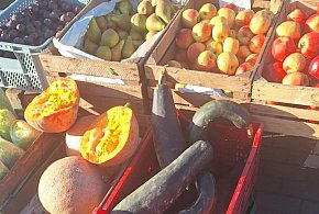 Zanotowane na kruszwickim targowisku. Jakie ceny w listopadzie?-47624