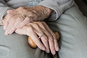 Te osoby dostaną dwie emerytury w grudniu. ZUS przesuwa przelewy-47701