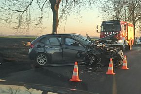 Kolejny wypadek pod Kruszwicą: Samochód uderzył w drzewo-48462
