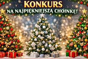 Wybieramy najpiękniejszą świąteczną choinkę w Kruszwicy!-48607