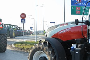 Rolnicy zapowiadają protest w całym kraju. Skala może zaskoczyć-48709