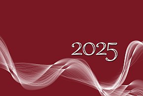 Urząd Miejski w Kruszwicy podsumował rok: Liczne wydarzenia i imprezy [VIDEO]-48790