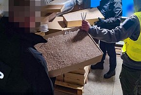 REGION: Wielka akcja CBŚP i KAS. 9 osób zatrzymanych-48973