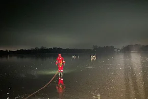 Połajewo. Zgłoszenie dotyczące łabędzia na lodzie jeziora Gopło-48988