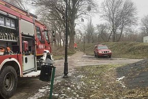 KRÓTKO: Wycinka gałęzi na Zagoplu-49213