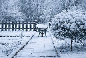 Niepokojące sygnały z terenów Rodzinnych Ogrodów Działkowych w Kruszwicy