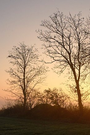 Piękno Kruszwicy jesienią. Taki obrazy zatrzymuje w obiektywie Kadr Naturalny-5995