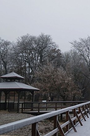 Piękno zimy nad Gopłem. Zobaczcie zdjęcia Agnieszki Bartczak!-6008