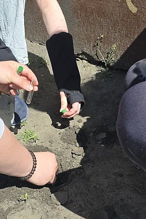 Nadgoplański Park Tysiąclecia zakończył cykl ekologicznych zajęć edukacyjnych 2025-6107