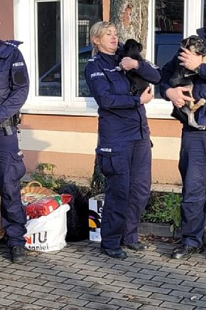 „Pomagamy i chronimy” również zwierzęta. Policjanci włączyli się w zbiórkę-6104