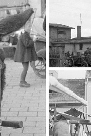 Historyczna Kruszwica: Handel na kruszwickich ulicach w 1948 roku [FOTO[-6133