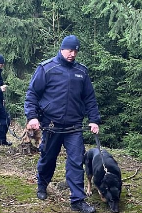 Kontrole legalności wycinki i posiadania choinek-6166