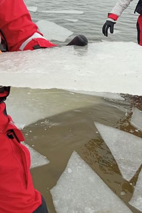 Szok termiczny, panika, brak ratunku. Służby monitorują wodne akweny-6188