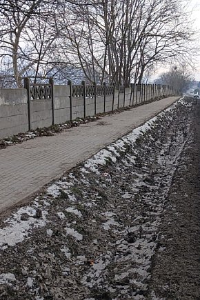 Radny złożył interpelację w sprawie ogrodzenia przy drodze krajowej w Kobylnikach-6214