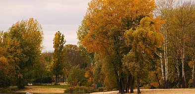 Hej Kruszwica! Po świętym Tadeuszu trzeba chodzić w kapeluszu-46832