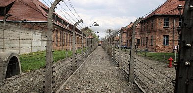 Muzeum Auschwitz: apelujemy o przekazywanie nam wszelkich pamiątek poobozowych-47455