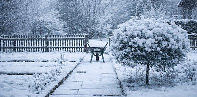 Niepokojące sygnały z terenów Rodzinnych Ogrodów Działkowych w Kruszwicy