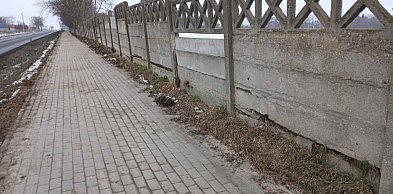 Ogrodzenie przy drodze krajowej nr 62. Burmistrz przekazał sprawę do GDDKiA