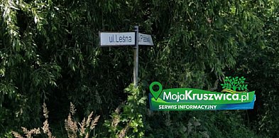 Legalność zabudowy przy ul. Leśnej pod analizą. Będą kontrole?